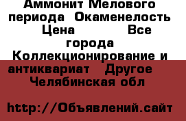 Аммонит Мелового периода. Окаменелость. › Цена ­ 2 800 - Все города Коллекционирование и антиквариат » Другое   . Челябинская обл.